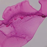 Azelea