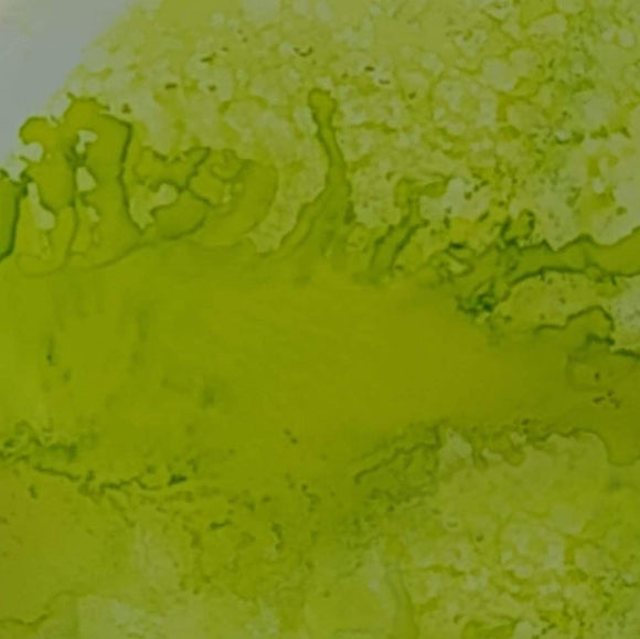 Lime Blossom Extreme Alcohol Ink