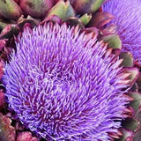 Artichoke Extreme Alcohol Ink