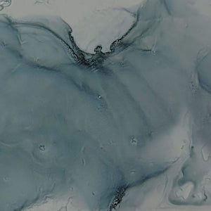 Cassiopeia Tetragona Extreme Alcohol Ink