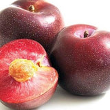 Plum Delicious