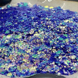 Marine Life Collection - Abalone Shells