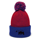 Pom-Pom Beanie